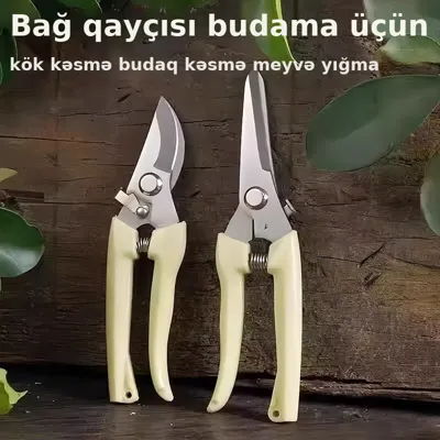 Bağ gülləri üçün paslanmayan budama qayçısı, şəkil 1