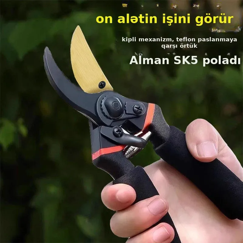 Budaqlar üçün bağ qayçısı