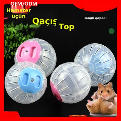 Hamster topu şəffaf qaçış