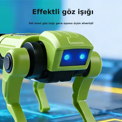 Uşaq üçün elektron robot it DIY, şəkil 4