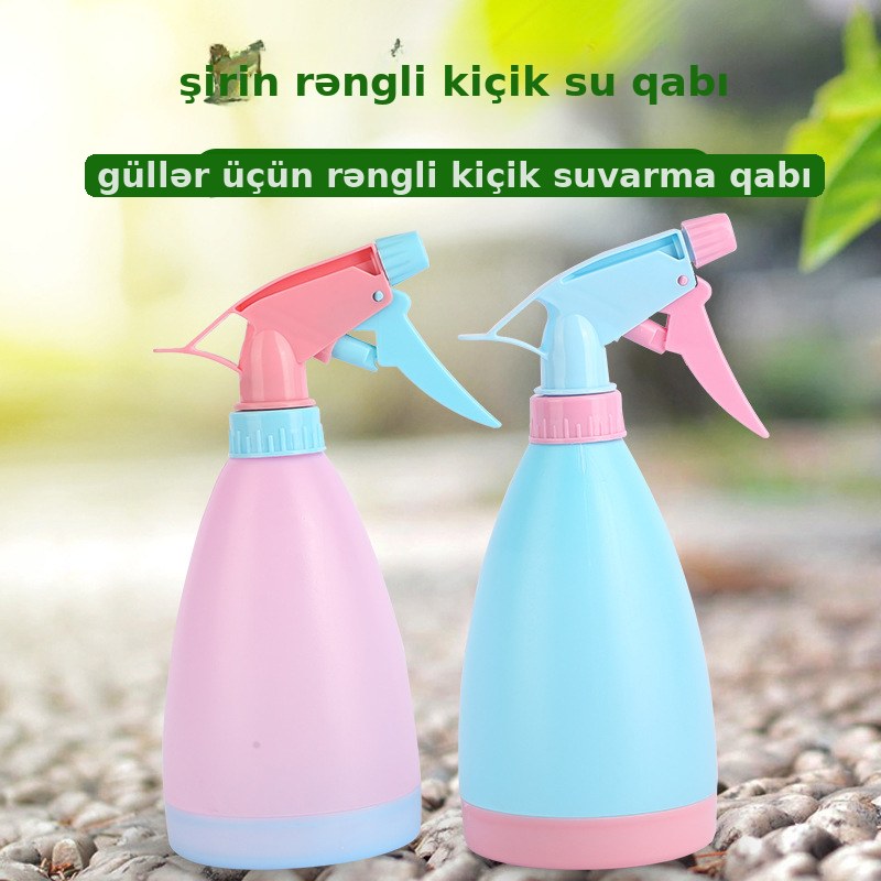 Mini rəngli suvarma bidonu, sukkulentlər üçün